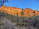 photo thumbnail #3
