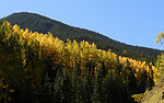 photo thumbnail #10