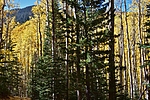photo thumbnail #12