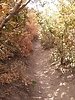 photo thumbnail #8