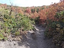 photo thumbnail #9
