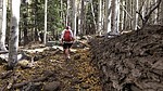 photo thumbnail #11