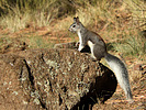 2020-10-01 :2: Weatherford Canyon Loop :: outdoor_lover