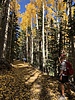 photo thumbnail #4