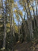 photo thumbnail #11