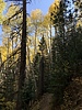 photo thumbnail #12