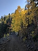 photo thumbnail #14