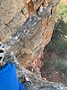 photo thumbnail #12