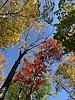photo thumbnail #4