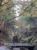 photo thumbnail #15