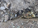 photo thumbnail #5