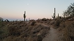 photo thumbnail #6