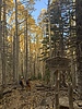 photo thumbnail #13