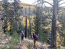 photo thumbnail #15