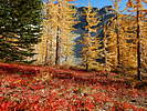 photo thumbnail #11