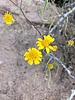 photo thumbnail #12
