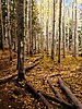 photo thumbnail #8