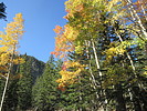 photo thumbnail #12