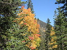 photo thumbnail #15