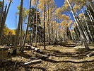 photo thumbnail #7