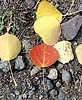 photo thumbnail #13