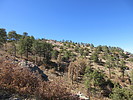 photo thumbnail #10