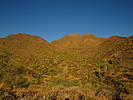 photo thumbnail #4