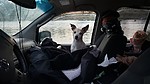 photo thumbnail #9