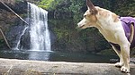 photo thumbnail #13