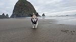 photo thumbnail #1