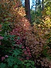 photo thumbnail #15