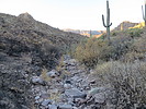 photo thumbnail #2
