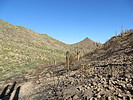 photo thumbnail #8
