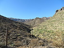photo thumbnail #9