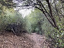 photo thumbnail #2