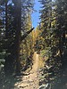 photo thumbnail #13
