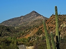 photo thumbnail #2