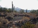 photo thumbnail #7