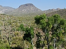 2020-10-11 :3: Spur Cross Tibber Loop :: LosDosSloFolks