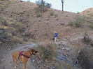 photo thumbnail #3