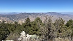 photo thumbnail #7