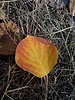 photo thumbnail #10