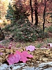 photo thumbnail #11