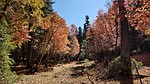 photo thumbnail #8
