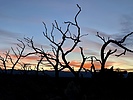 photo thumbnail #12