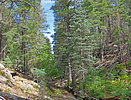 2020-10-05 :1: West Bear Canyon (Minimal Autumn) :: Grasshopper