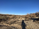 photo thumbnail #1