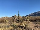 photo thumbnail #4