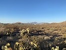 photo thumbnail #8