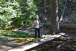photo thumbnail #4